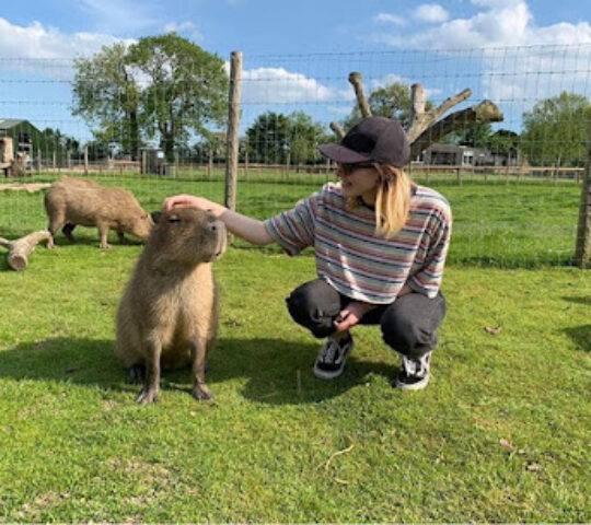 Chew Valley Animal Park