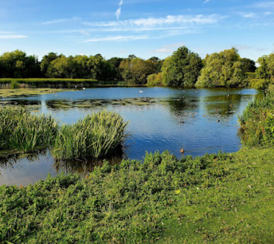 Backwell Lake