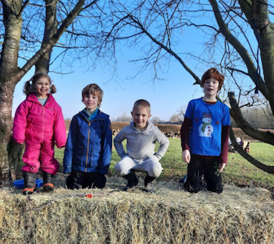 Wild Tribe & Crystal Kids