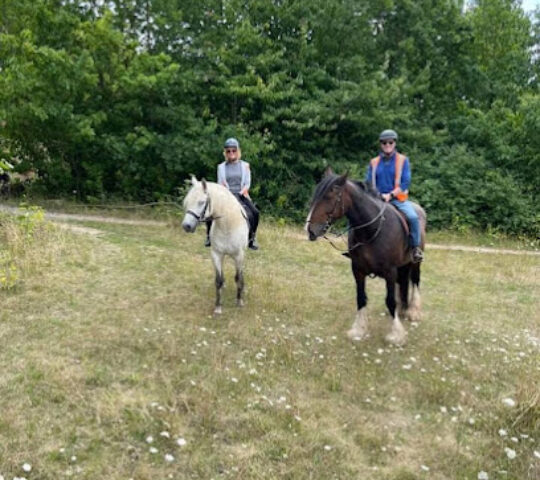 Derbyshire Pony Trekking