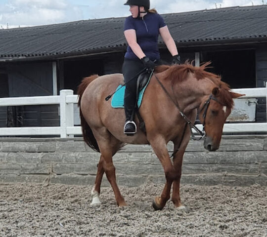 Witham Villa Riding Centre