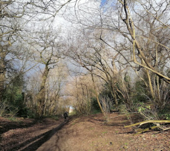 Badock’s Wood Northern Gateway, Entrance
