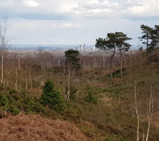 Chobham Ridge