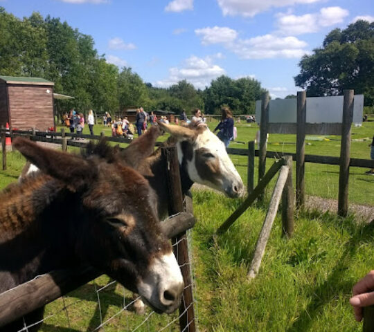 Fairfield Animal Centre