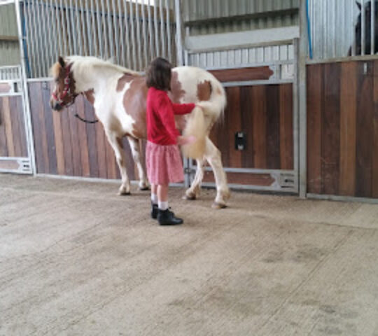 Spinney View Farm