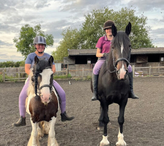 New Range Horse Riding School & Rescue Centre