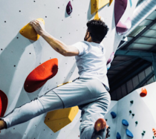 Bloc Indoor Climbing Wall