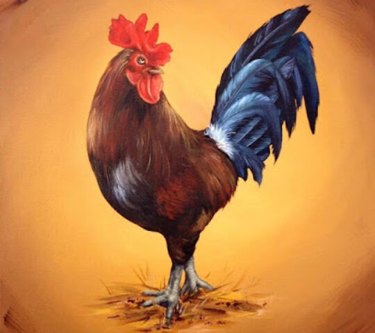 Contemporary Art Works