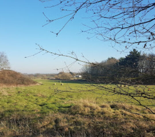 Oxford Adventure Park