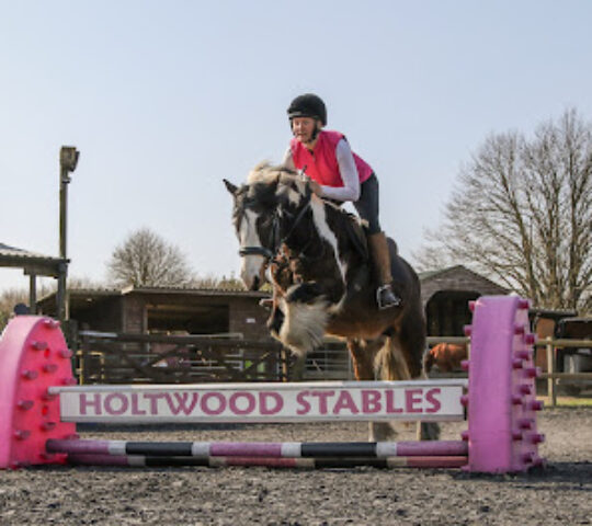 Holtwood Farm Stables