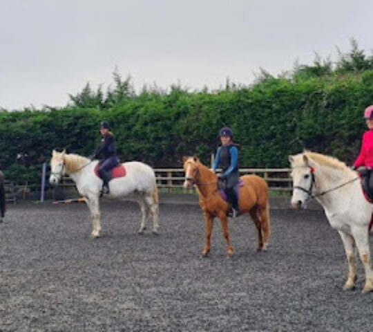 Palmers Riding Stables