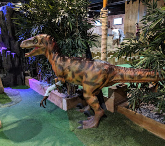 Mr Mulligan’s Lost World