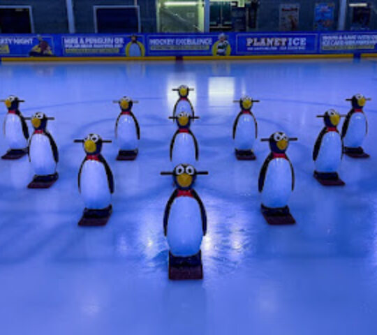 Planet Ice Bristol