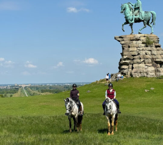 Wayside Stables