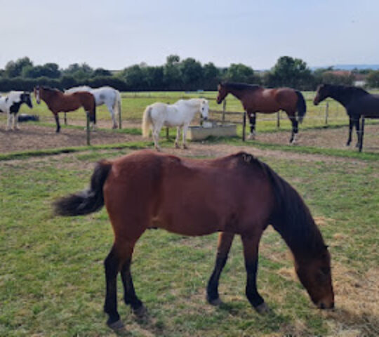 Queniborough Equestrian Centre