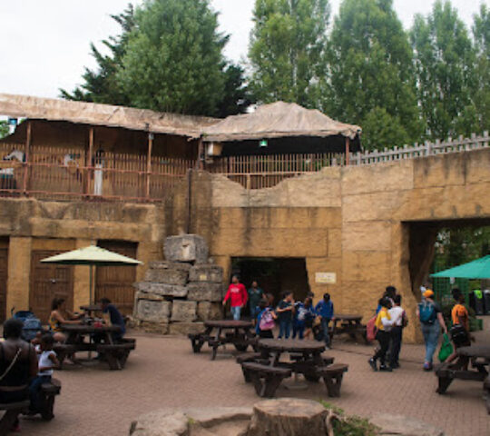 Forbidden Kingdom