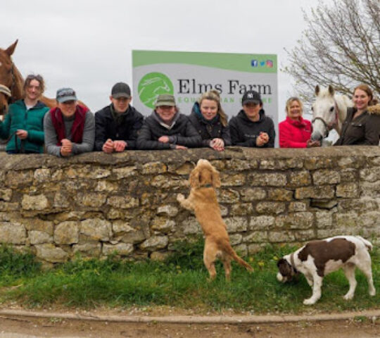 Elms Farm Riding Academy