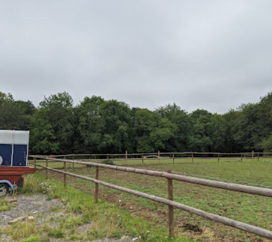 Hall Place Equestrian Centre