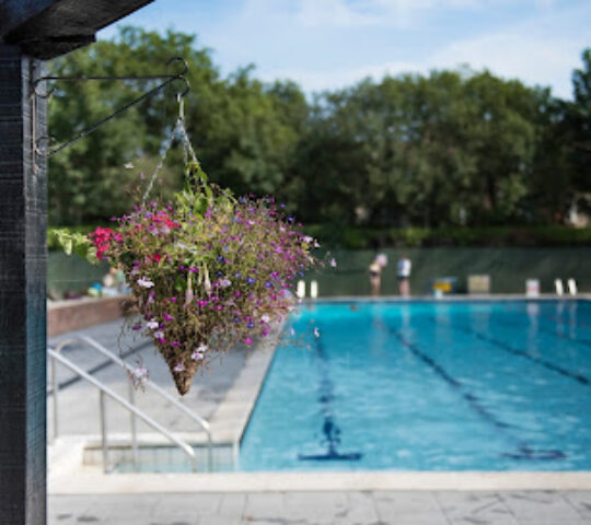 Petersfield Open Air Pool