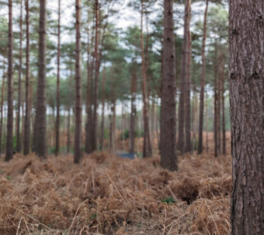 Gunman Airsoft – Eversley Alpha