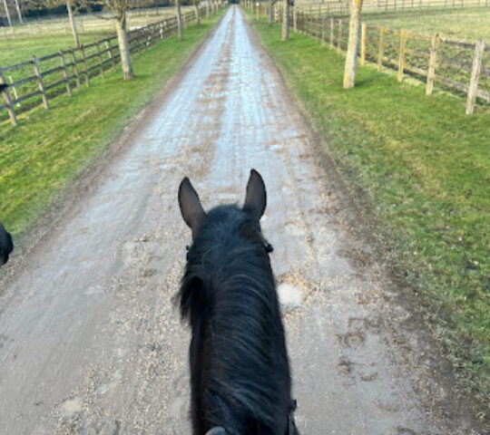 The Croft Equestrian Centre