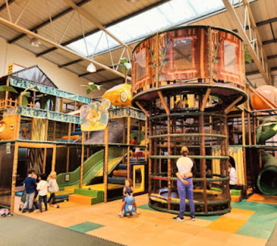 Jungle Mania Woodley