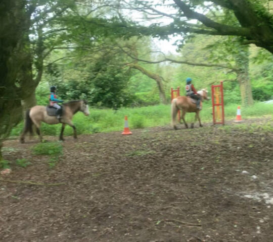 The Urban Equestrian Academy Ltd.