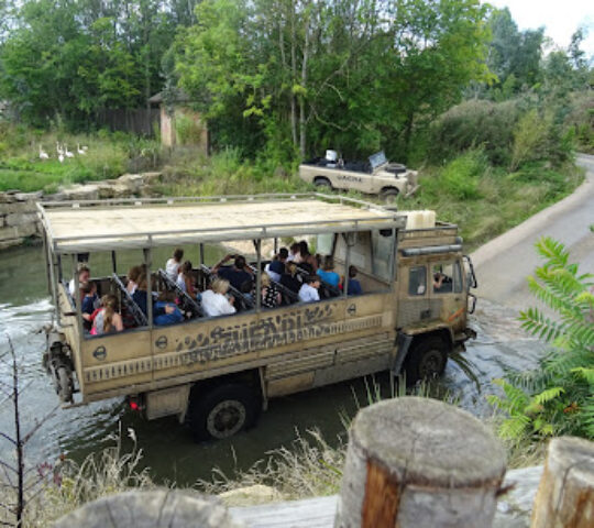 Zufari: Ride into Africa
