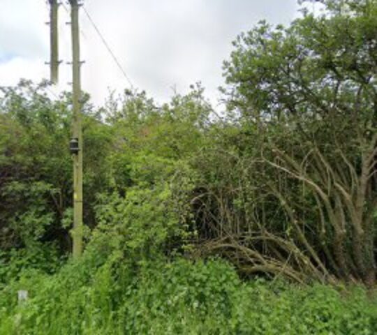 Willow Lodge