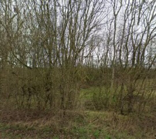 Woolsthorpe Line nature reserve