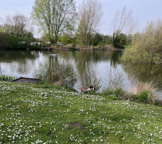 Sugar Mill Ponds