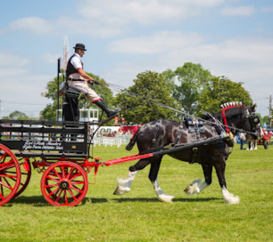 South of England Showground