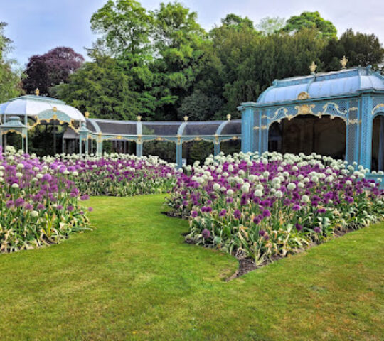 The Aviary