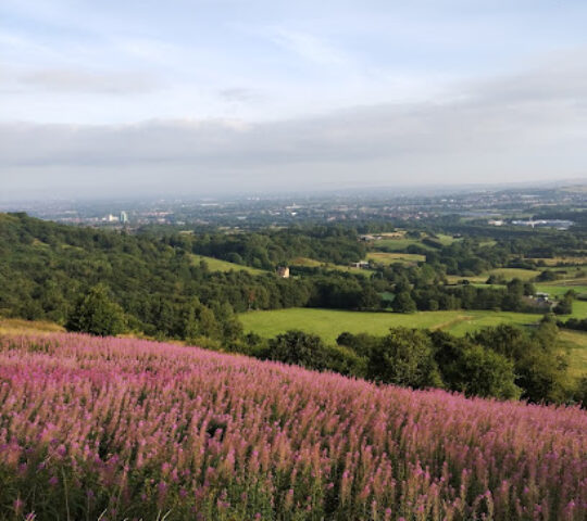 Werneth Low Golf Club