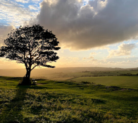 National Trust – Cissbury Ring