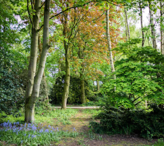 Askham Bryan Wildlife & Conservation Park