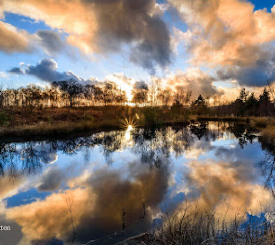 Foulshaw Moss Nature Reserve