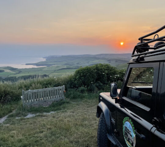 Dorset Safari