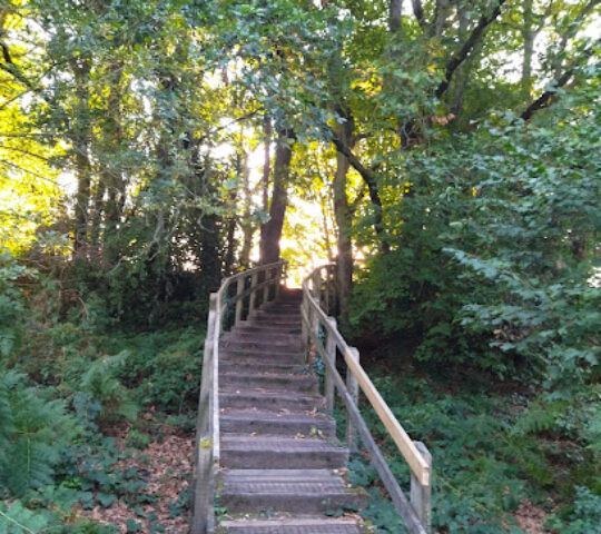 Corfe Barrows Nature Park