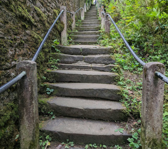 Radical Steps