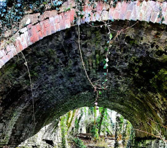 Calke Lime Pits