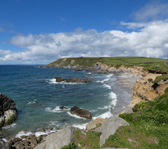 Dollar Cove