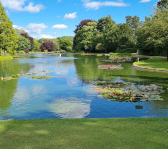 Burnby Hall Gardens
