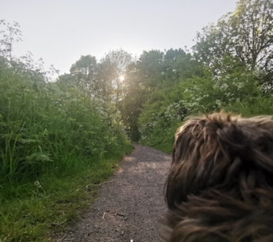 Windy Nook Nature Park
