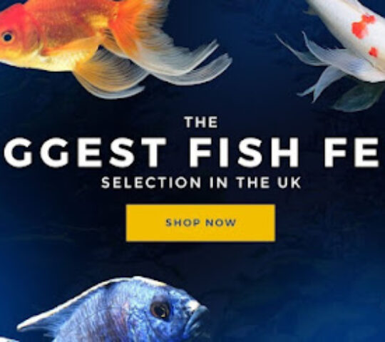 Heron’s Pet World Ltd