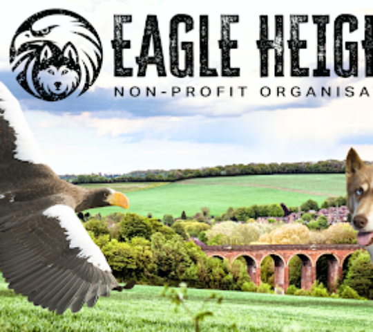 Eagle Heights Wildlife Foundation