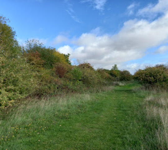 County Wildlife Site