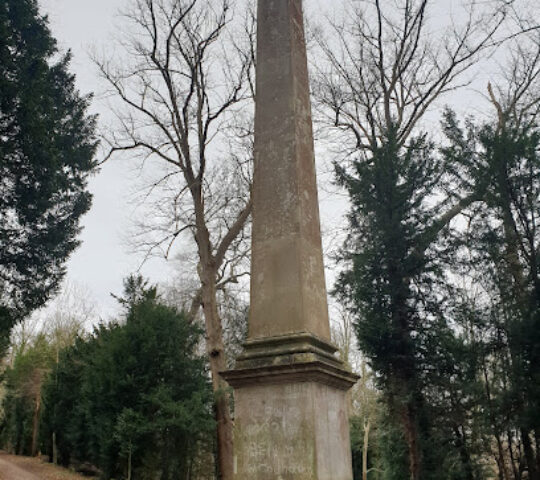 Obelisk,Tring Park Woodland Trust
