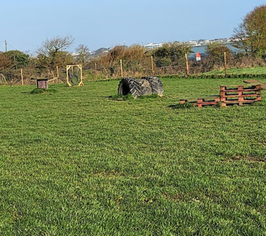 Chapel Farm (Newquay) Ltd