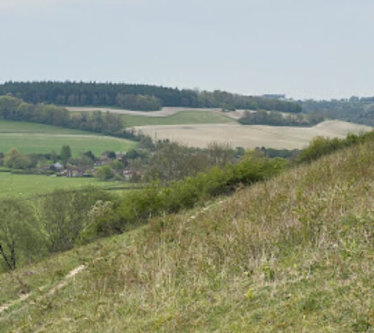 Levin Down Nature Reserve Sussex Wildlife Trust